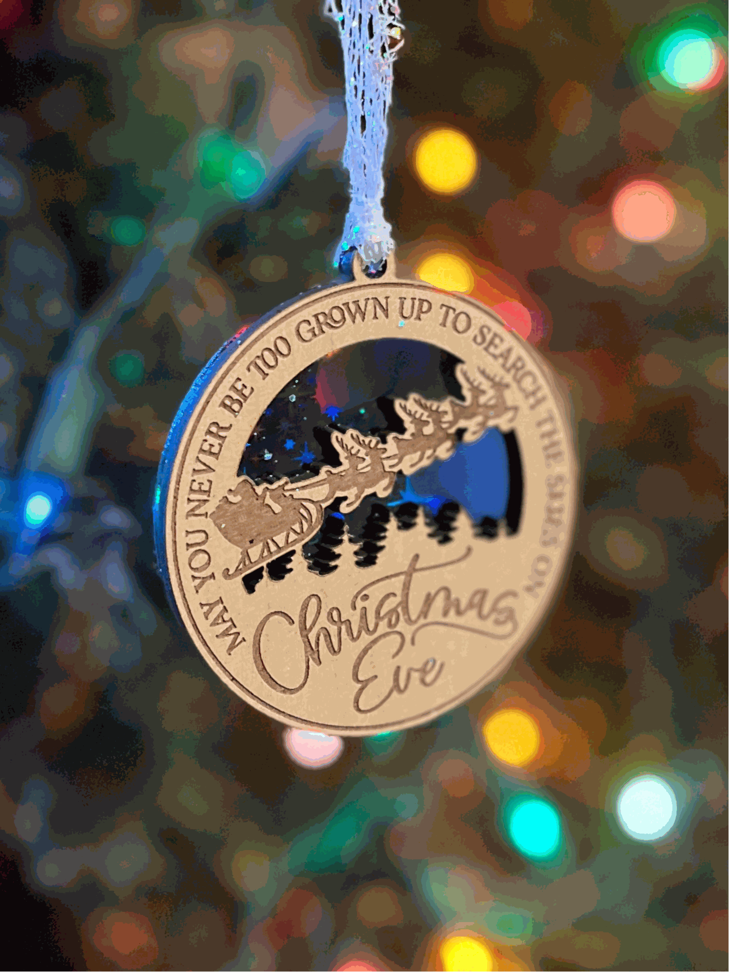 Search The Skies Ornament