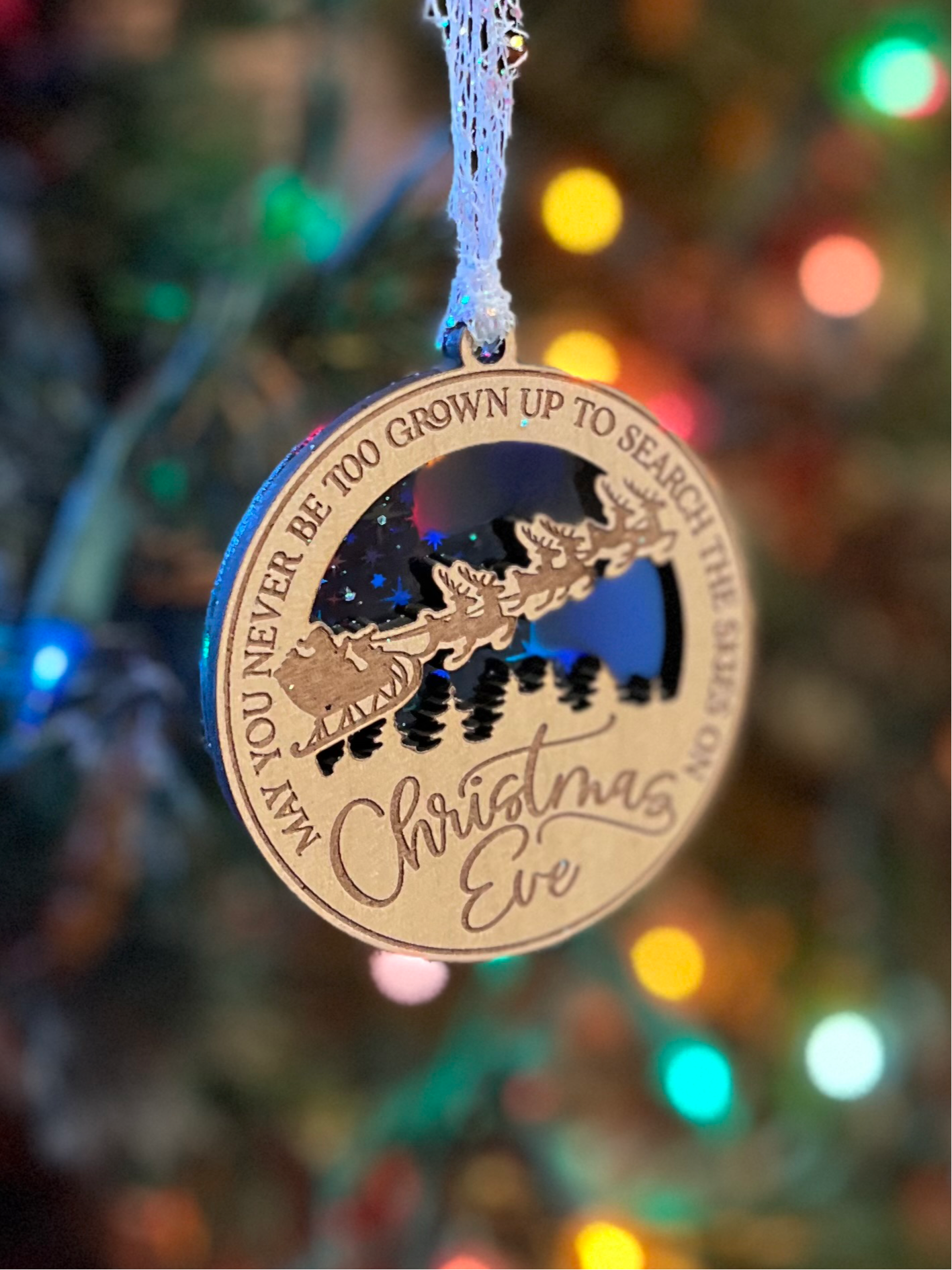 Search The Skies Ornament